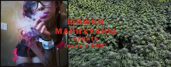 винт Няндома