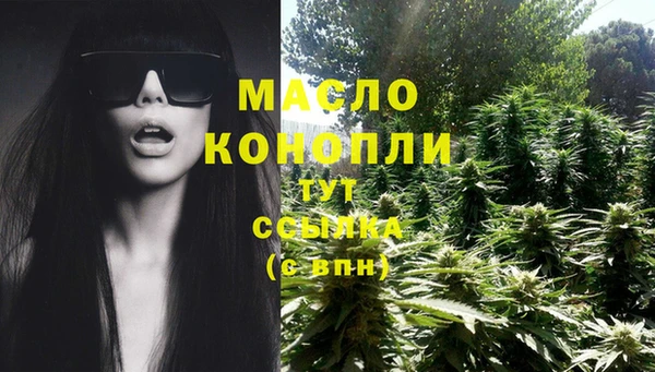винт Няндома