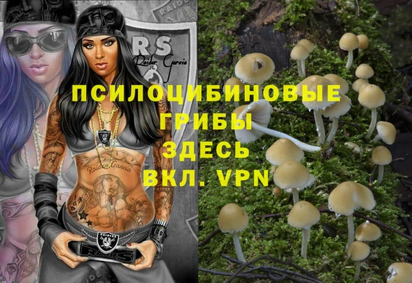 мескалин Нязепетровск