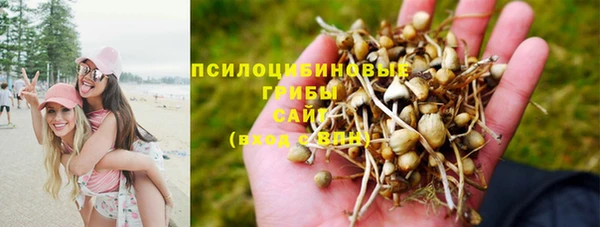 мескалин Нязепетровск