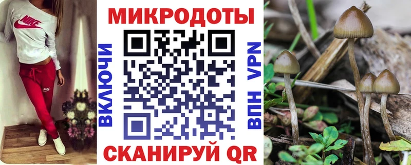 нарко площадка как зайти  mega маркетплейс  Галлюциногенные грибы Psilocybe  Бабаево  купить закладку 