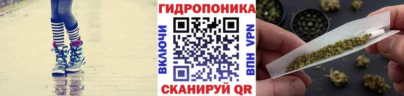 Бошки Шишки THC 21%  хочу   Бабаево 